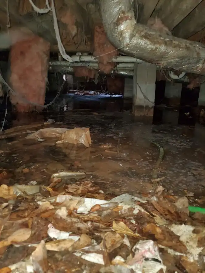 Crawl space flood assessment for Leak Detection & Repair in Black Jack