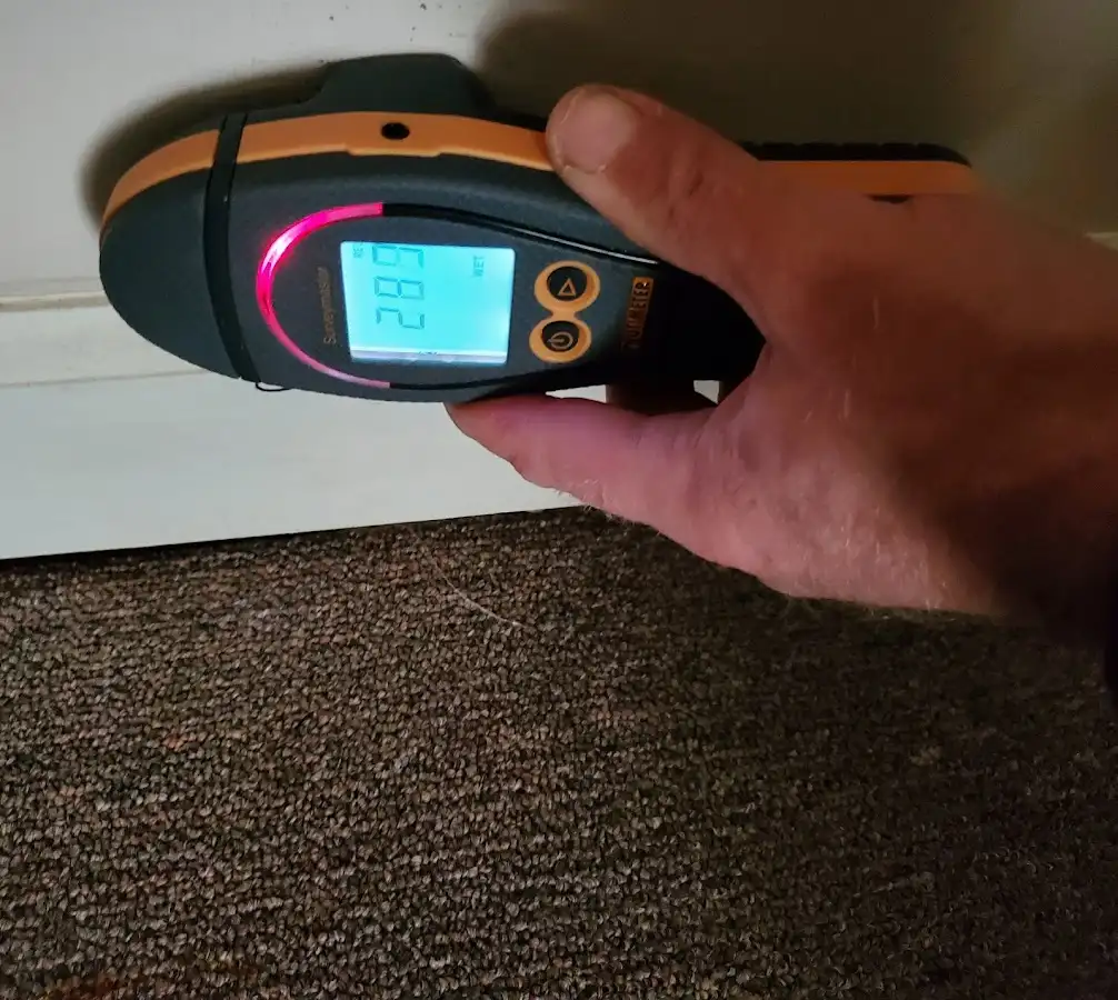 Moisture detection at baseboard during Sewage Cleanup & Sanitation in Black Jack